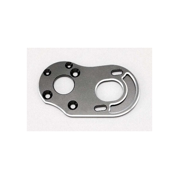 Z2-304T Plaque moteur ALU